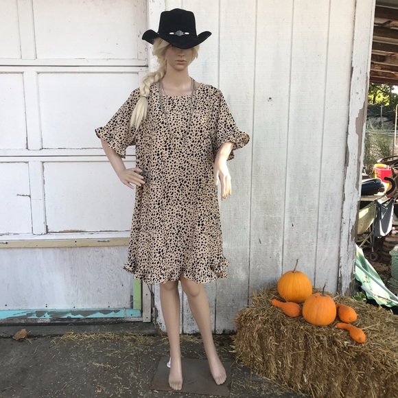 Nwt, cheetah print ruffled trim dress - Picture 4 of 12